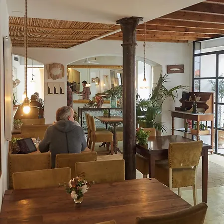 Forn Nou 4* Арта